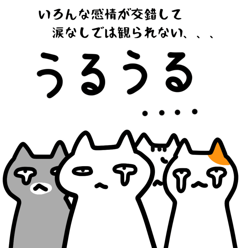 いろんな感情が交錯して涙なしでは観られない