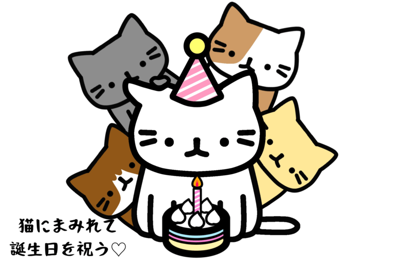 猫にまみれて誕生日を祝う