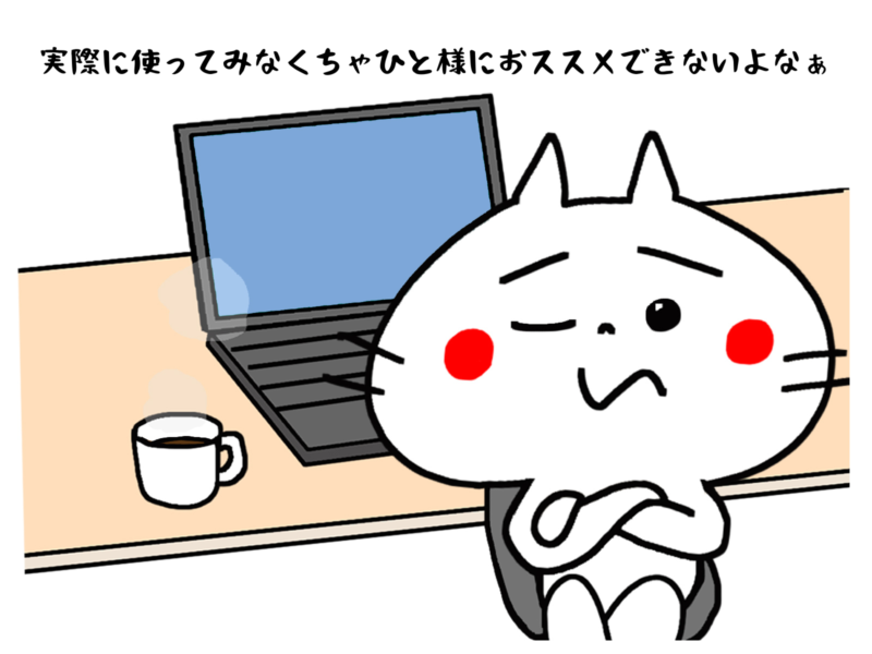 実際に使ってみなくちゃひと様におススメできないよなぁ