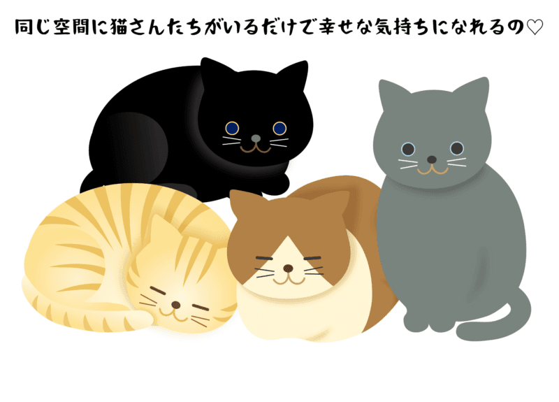 同じ空間に猫さんたちがいるだけで幸せな気持ちになれるの