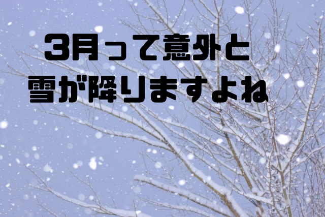 3月って意外と雪が降りますよね