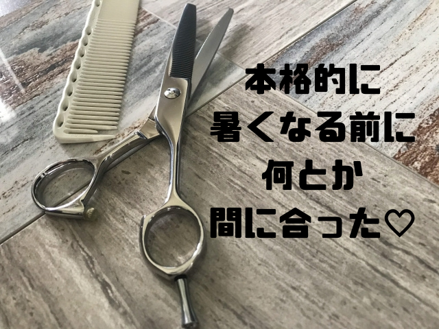 本格的に暑くなる前に何とか間に合った