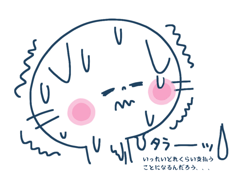 いったいどれくらい支払うことになるんだろう