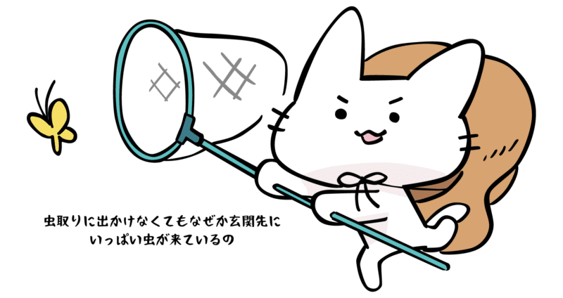 虫取りに出かけなくてもなぜか玄関先に虫がいっぱい来ているの