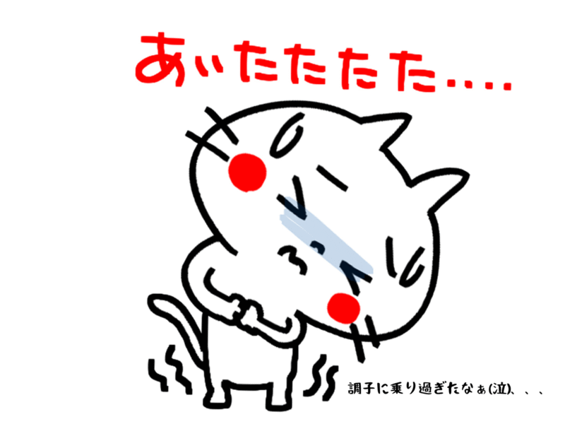 調子に乗り過ぎたなぁ