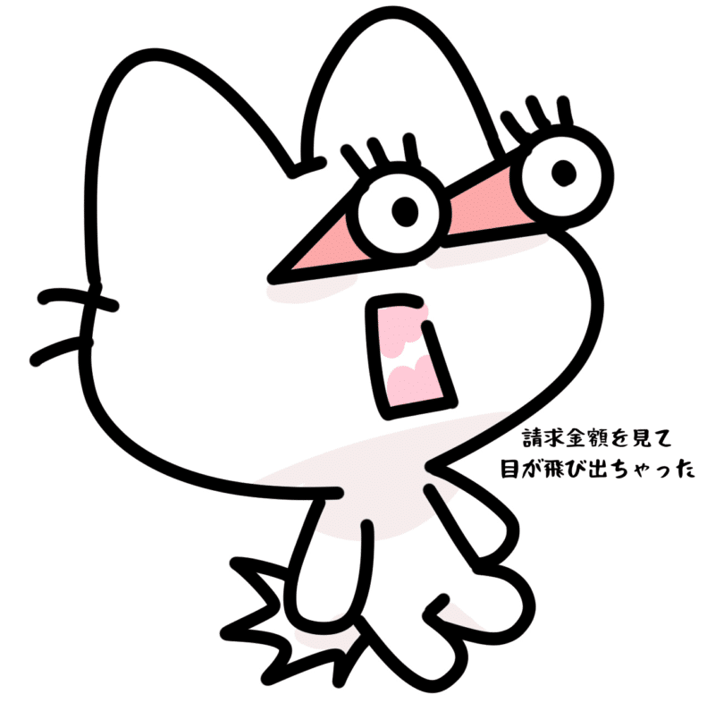 請求金額を見て目が飛び出ちゃった