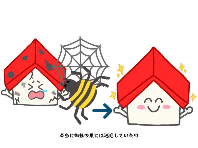 本当に蜘蛛の巣には迷惑していたの