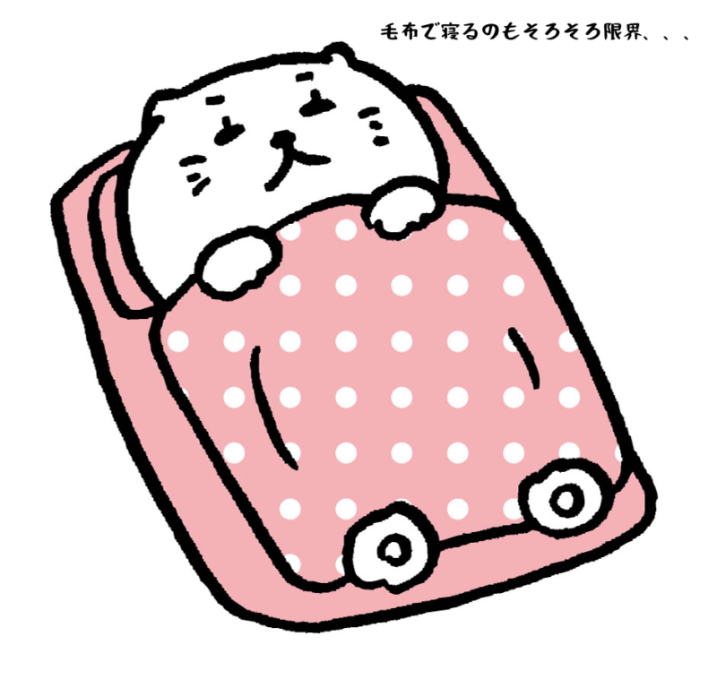 毛布で寝るのもそろそろ限界