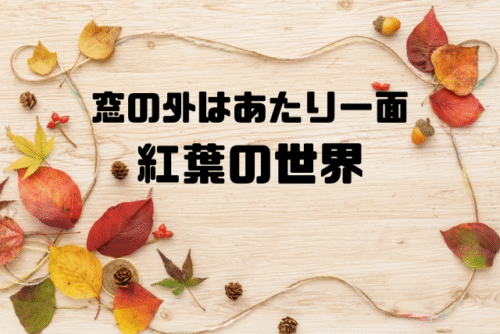 窓の外はあたり一面紅葉の世界