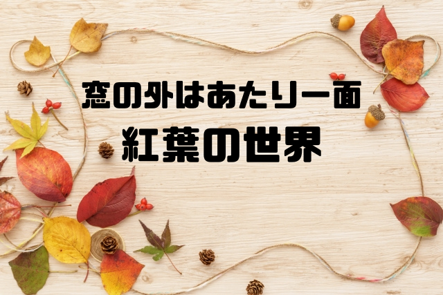 窓の外はあたり一面紅葉の世界