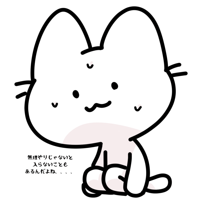 無理やりじゃないと入らないこともあるんだよね