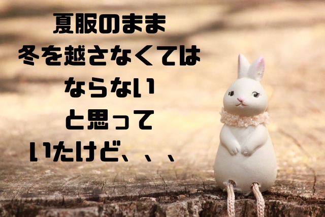夏服のまま冬を越さなくてはならないと思っていたけど