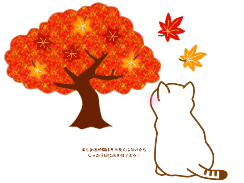 楽しめる時間はそう長くはないからしっかり目に焼き付けよう