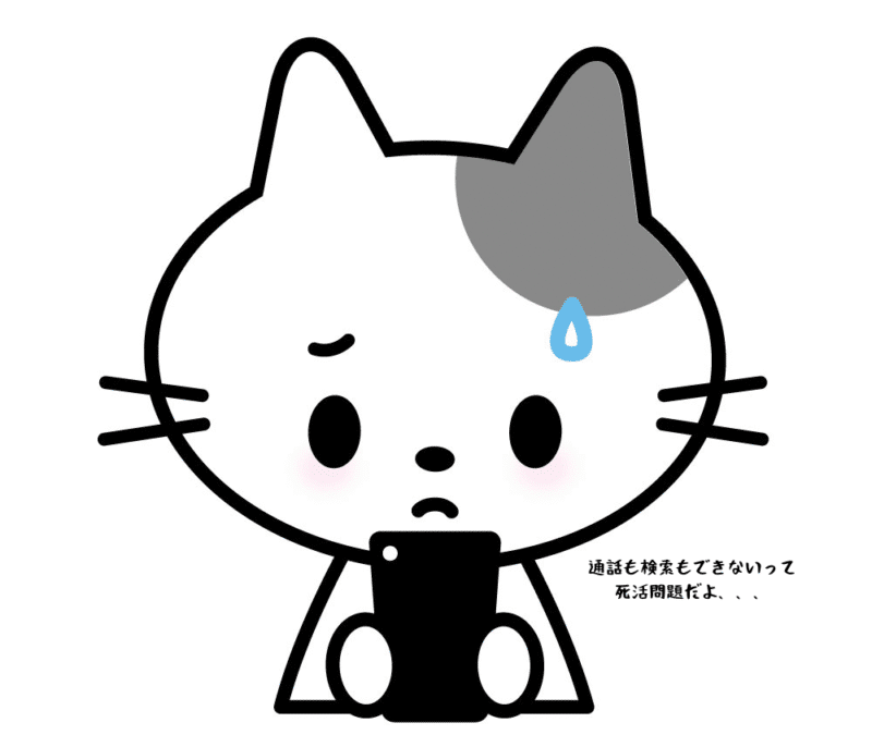 通話も検索もできないって死活問題だよ