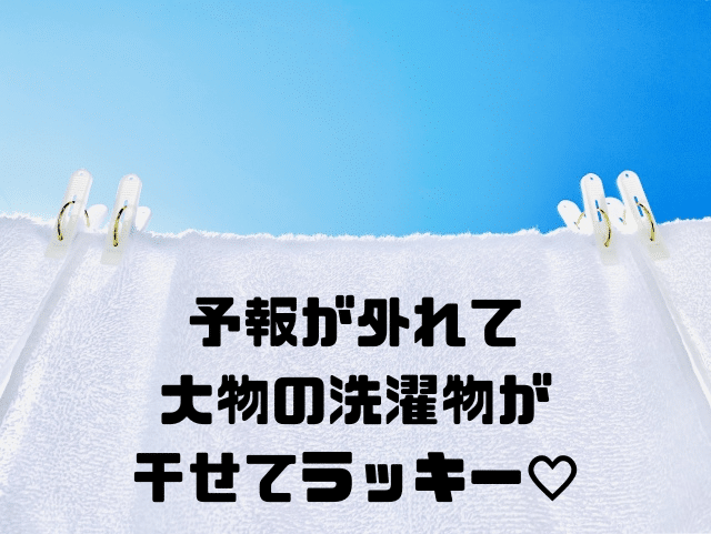 予報が外れて大物の洗濯物が干せてラッキー