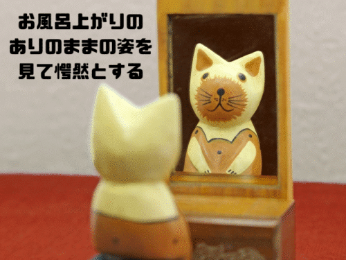 お風呂上がりのありのままの姿を見て愕然とする