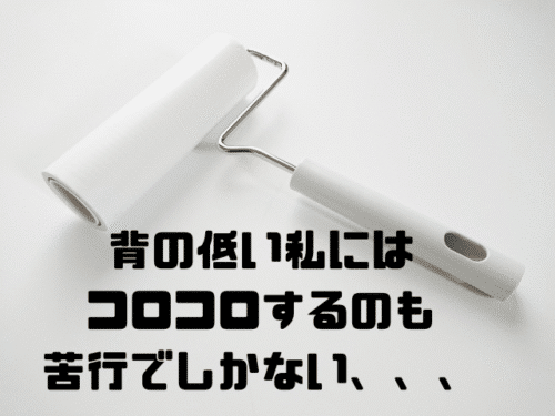背の低い私にはコロコロするのも苦行でしかない