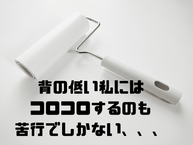 背の低い私にはコロコロするのも苦行でしかない