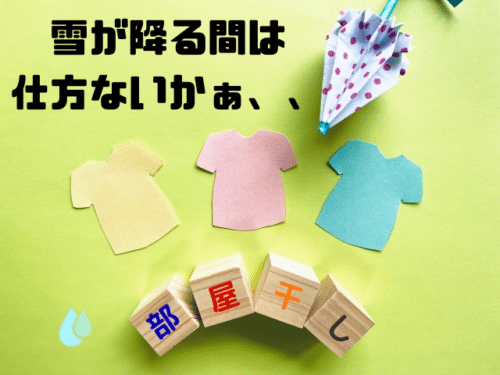 雪が降る間は仕方ないかぁ