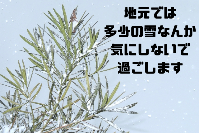 地元では多少の雪なんか気にしないで過ごします