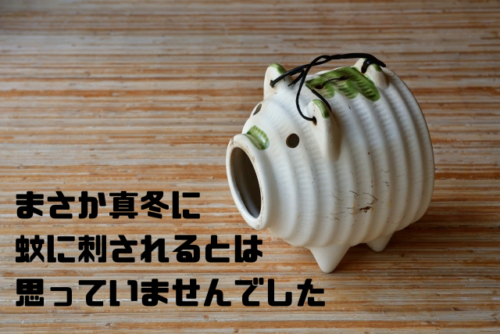 まさか真冬に蚊に刺されるとは思っていませんでした