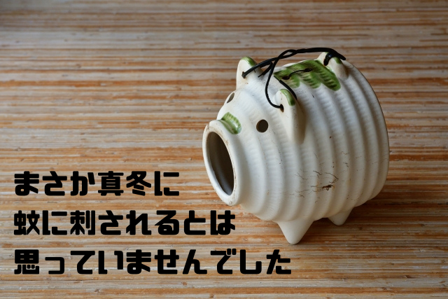 まさか真冬に蚊に刺されるとは思っていませんでした