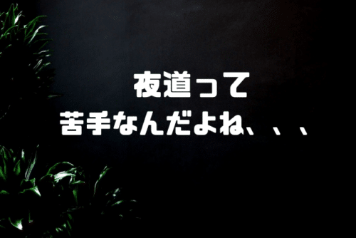 夜道って苦手なんだよね