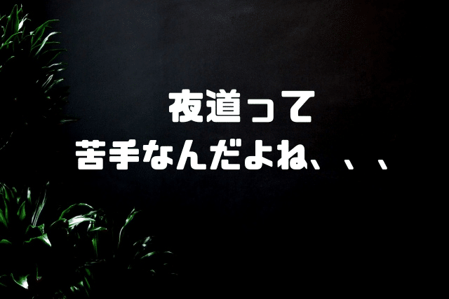 夜道って苦手なんだよね