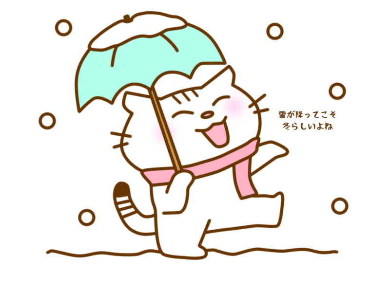 雪が降ってこそ冬らしいよね