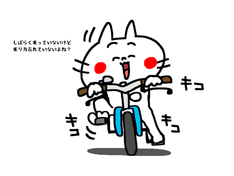 しばらく乗っていないけど乗り方忘れていないよね