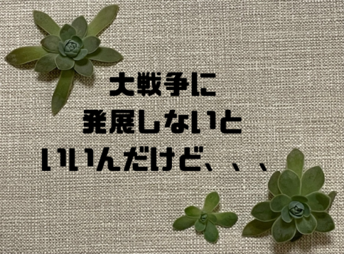 大戦争に発展しないといいんだけど