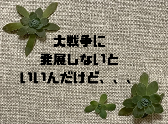 大戦争に発展しないといいんだけど