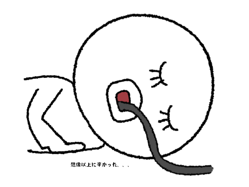 想像以上に辛かった