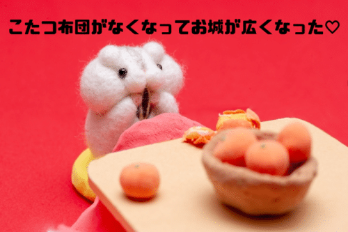 こたつ布団がなくなってお城が広くなった