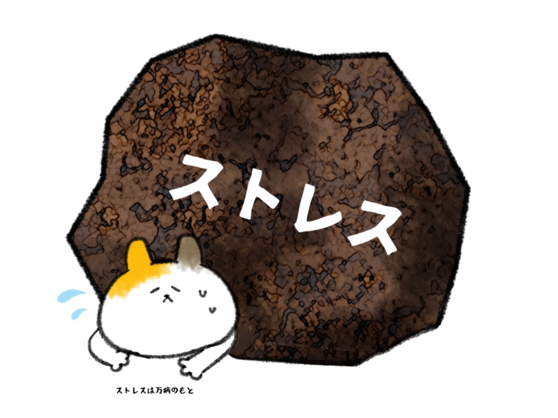 ストレスは万病のもと