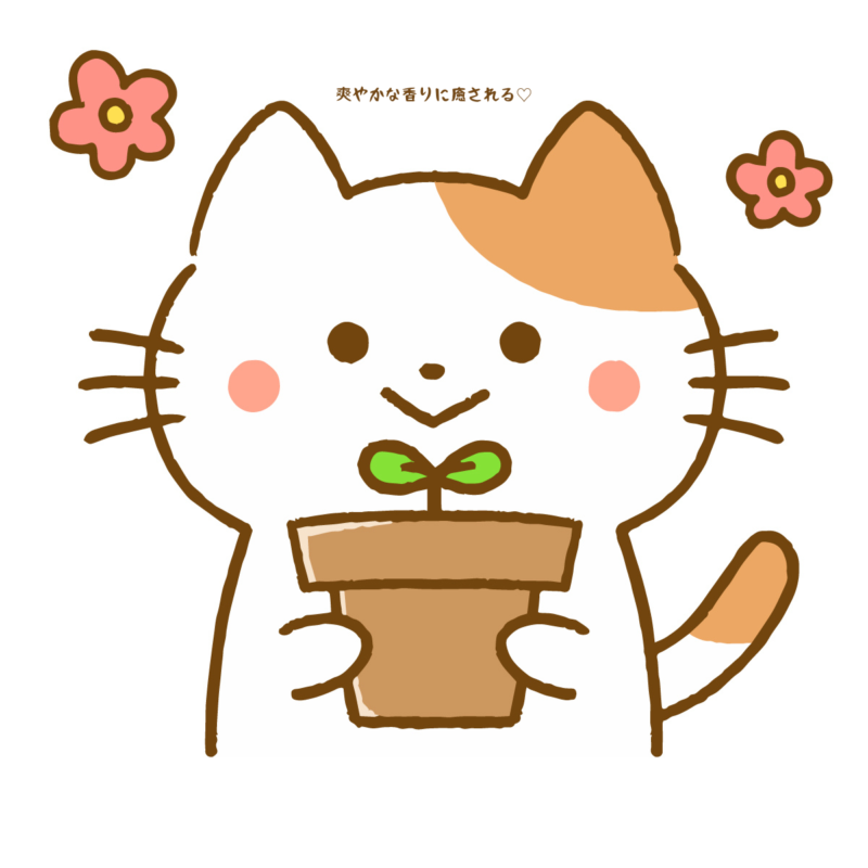 爽やかな香りに癒される
