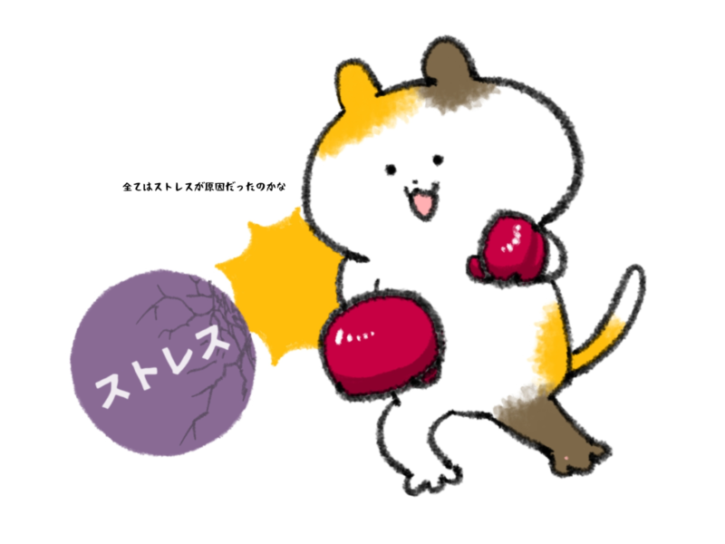 全てはストレスが原因だったのかな