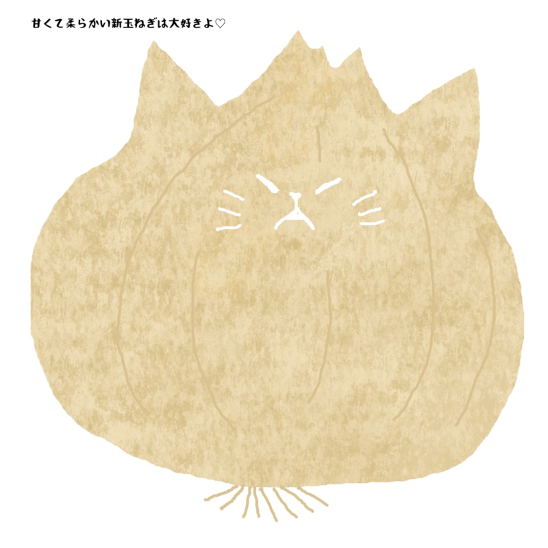甘くて柔らかい新玉ねぎは大好きよ
