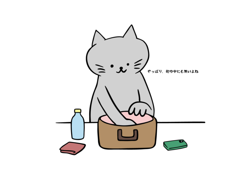 やっぱり鞄の中にも無いよね