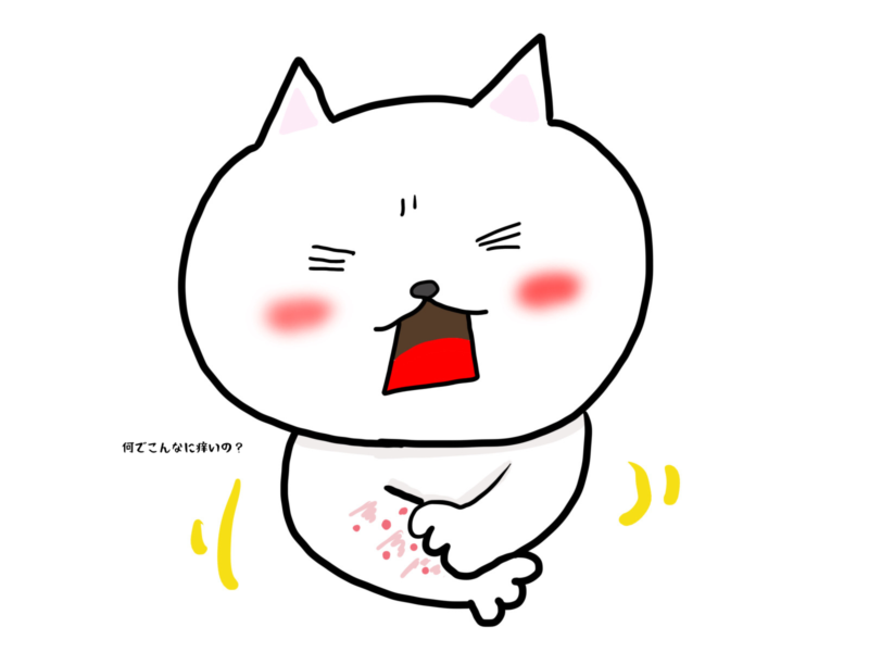 何でこんなに痒いの