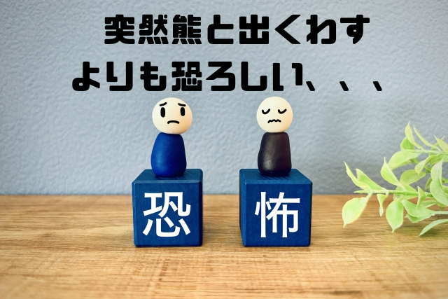 突然熊に出くわすよりも恐ろしい