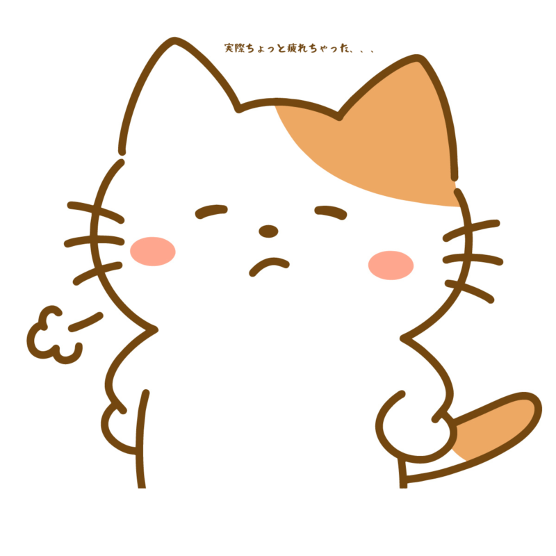 実際ちょっと疲れちゃった