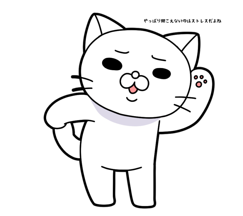 やっぱり聞こえないのはストレスだよね