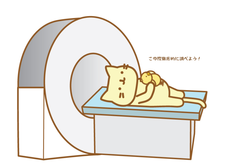 この際徹底的に調べよう
