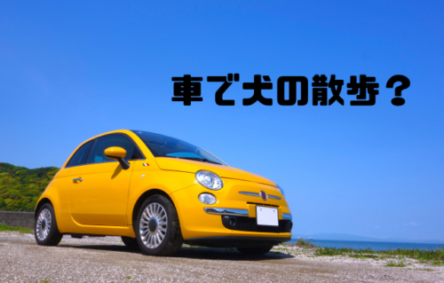 車で犬の散歩