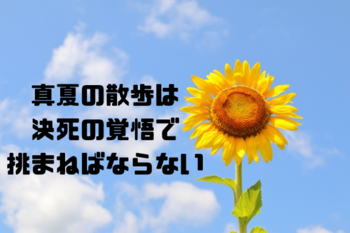 真夏の散歩は決死の覚悟で挑まねばならない