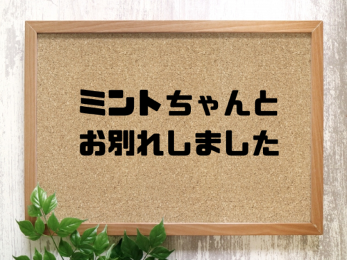 ミントちゃんとお別れしました