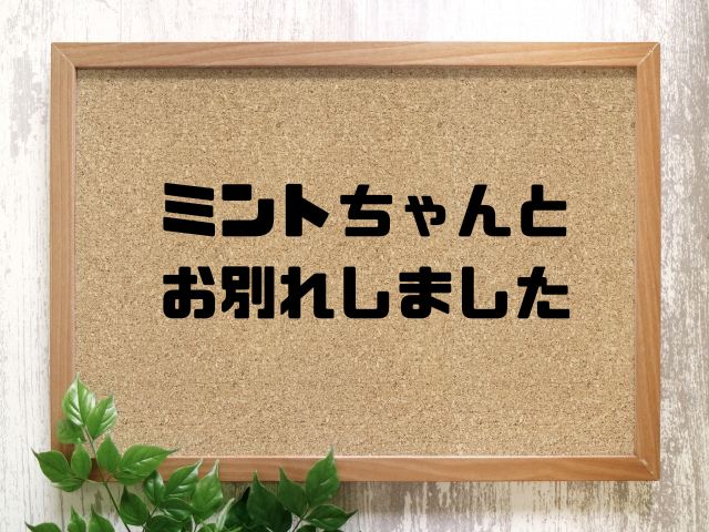 ミントちゃんとお別れしました