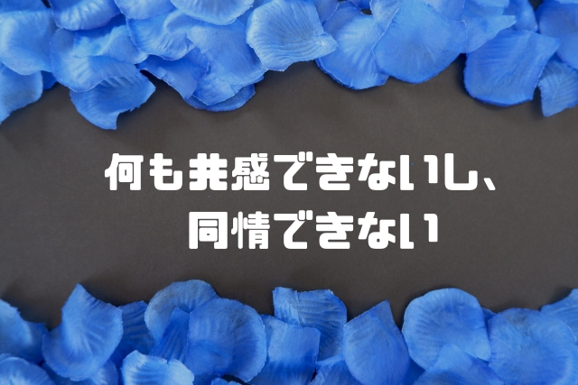 何も共感できないし同情できない