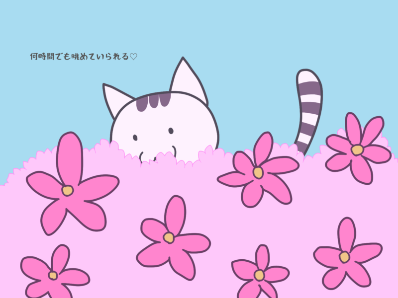 何時間でも眺めていられる